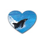 Swimming Dolphin Heart Coaster (4 pack)