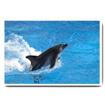 Swimming Dolphin Large Doormat