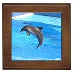 Jumping Dolphin Framed Tile