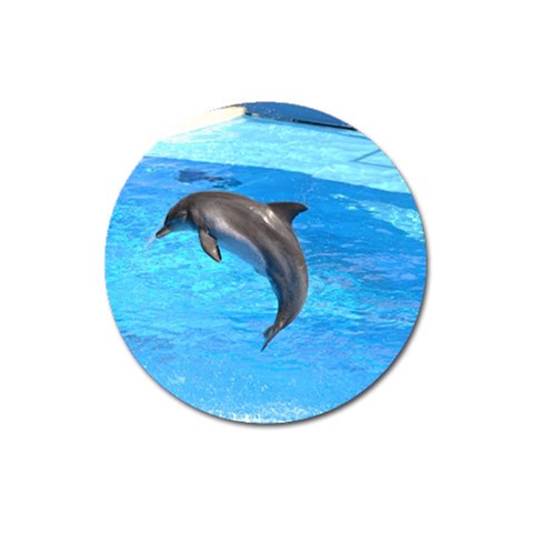 Jumping Dolphin Magnet 3  (Round) from ZippyPress Front