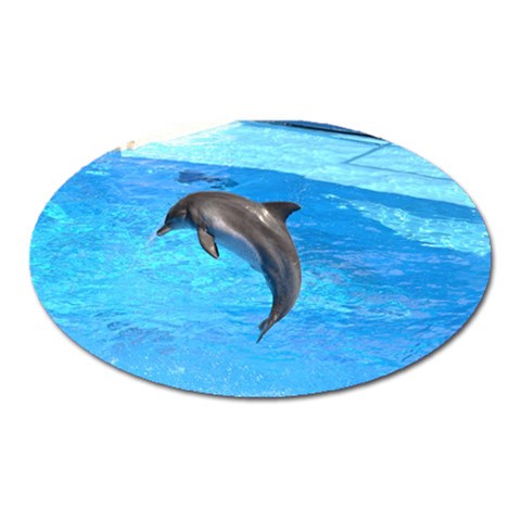 Jumping Dolphin Magnet (Oval) from ZippyPress Front