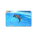 Jumping Dolphin Magnet (Name Card)
