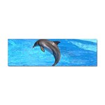 Jumping Dolphin Sticker Bumper (10 pack)
