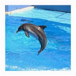 Jumping Dolphin Glasses Cloth (Medium)