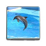 Jumping Dolphin Memory Card Reader with Storage (Square)